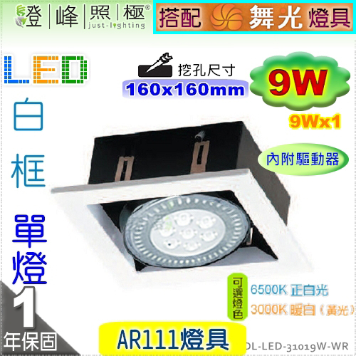 DL-LED-31019W-WR_M100.jpg