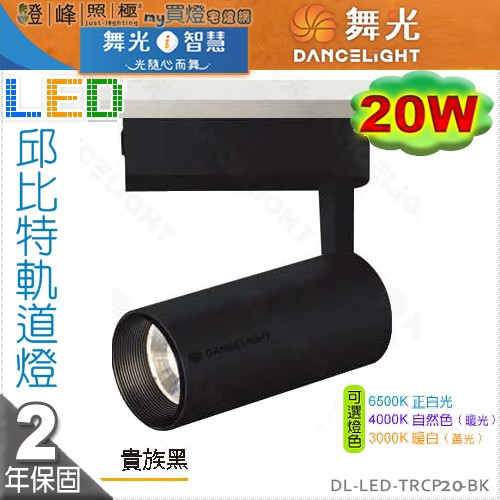 DL-LED-TRCP20-BK.jpg