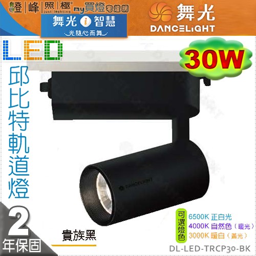 DL-LED-TRCP30-BK.jpg